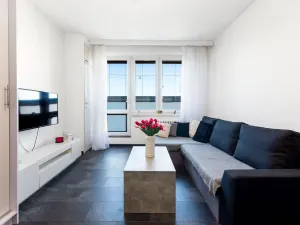 Prodej bytu 1+kk, Český Těšín, Ostravská, 31 m2
