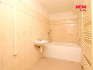 Pronájem bytu 1+1, Dolany, 37 m2