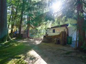 Prodej chaty, Borovnice, 60 m2