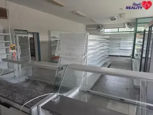 Pronájem obchodního prostoru, Holasovice, 258 m2