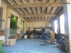 Prodej výrobních prostor, Stružinec, 10029 m2