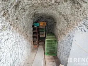 Prodej rodinného domu, Dolní Kounice, Benátky, 75 m2