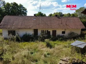 Prodej chalupy, Trhový Štěpánov - Dalkovice, 70 m2