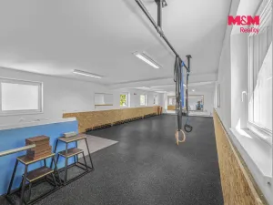 Prodej obchodního prostoru, Hradec Králové - Pražské Předměstí, Seydlerova, 195 m2