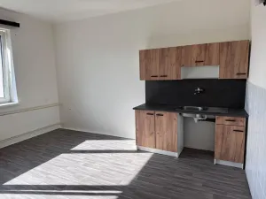 Prodej bytu 1+kk, Zruč nad Sázavou, Mládeže, 33 m2