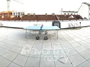 Pronájem bytu 1+kk, Brno, Spolková, 38 m2