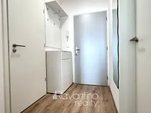 Pronájem bytu 1+kk, Brno, Spolková, 38 m2