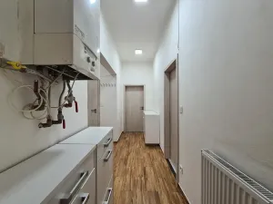 Pronájem bytu 2+1, Brno, Gorkého, 59 m2
