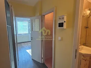 Pronájem bytu 1+1, Plzeň, Břeclavská, 39 m2