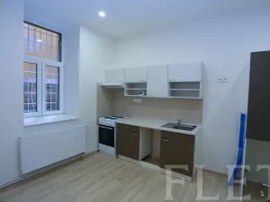 Pronájem bytu 1+1, Praha - Žižkov, Chelčického, 45 m2