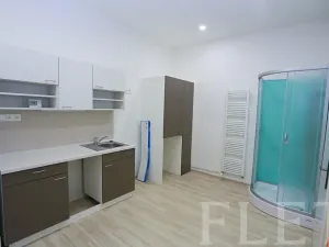 Pronájem bytu 1+1, Praha - Žižkov, Chelčického, 45 m2