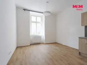 Pronájem bytu 2+kk, Plzeň - Jižní Předměstí, Americká, 62 m2