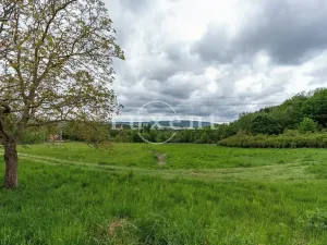 Prodej pozemku pro bydlení, Lipnice nad Sázavou, 38008 m2