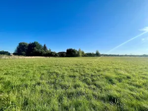 Prodej komerčního pozemku, Horka I, 3923 m2