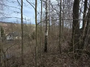 Prodej lesa, Rokytnice v Orlických horách, 3079 m2