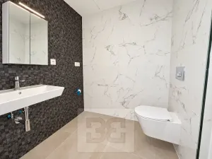 Pronájem bytu 1+kk, Olomouc, Třída Jiřího Pelikána, 35 m2