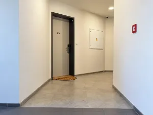 Pronájem bytu 1+kk, Brno, třída Generála Píky, 36 m2