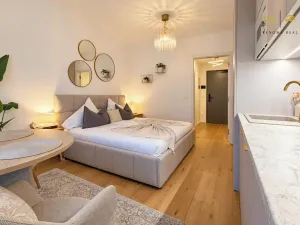 Pronájem bytu 1+kk, Brno, Bratislavská, 25 m2