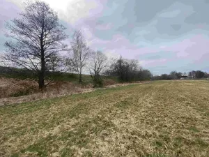 Dražba louky, Peč, 670 m2