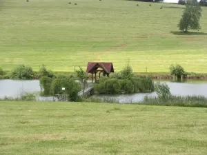 Prodej chalupy, Strašice, 231 m2