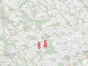 Prodej lesa, Čečelice, 21226 m2