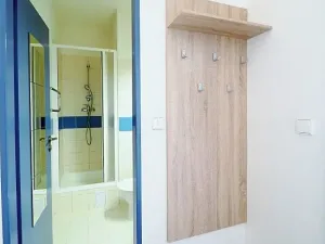 Prodej bytu 1+kk, Brno, Cejl, 17 m2
