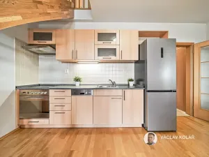 Prodej bytu 3+kk, Vítkovice, 96 m2