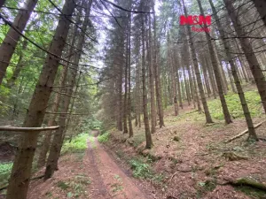 Prodej lesa, Strážná, 11485 m2