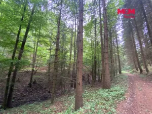 Prodej louky, Strážná, 2261 m2