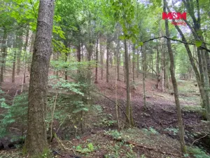 Prodej louky, Strážná, 2261 m2