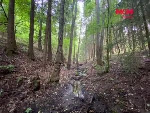 Prodej louky, Strážná, 2261 m2