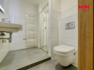 Pronájem bytu 2+1, Cheb, Družstevní, 64 m2