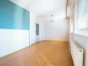 Prodej bytu 3+1, Mladá Boleslav, Mládežnická, 70 m2