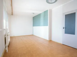 Prodej bytu 3+1, Mladá Boleslav, Mládežnická, 70 m2