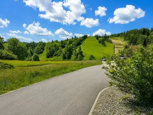 Prodej ubytování, Branná, 145 m2