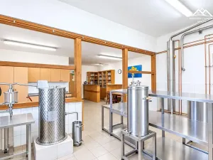 Pronájem výrobních prostor, Nová Ves u Chotěboře, 266 m2