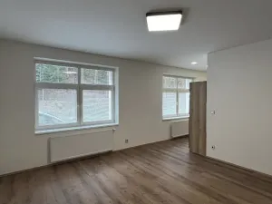 Pronájem bytu 1+kk, Liberec, Rynoltická, 41 m2