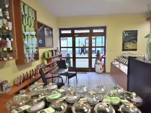 Pronájem obchodního prostoru, Beroun - Beroun-Centrum, Slapská, 40 m2