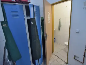 Pronájem obchodního prostoru, Beroun - Beroun-Centrum, Slapská, 40 m2