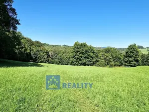 Prodej lesa, Trutnov - Babí, 44299 m2