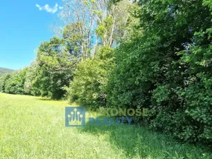 Prodej lesa, Trutnov - Babí, 44299 m2