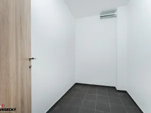 Prodej bytu 1+kk, Plzeň, Železná, 38 m2