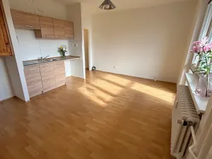 Pronájem bytu 1+kk, Frýdek-Místek, Bavlnářská, 29 m2
