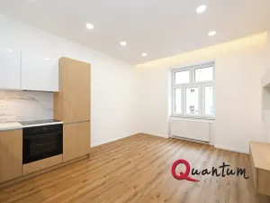 Pronájem bytu 2+kk, Praha - Žižkov, Zelenky-Hajského, 40 m2