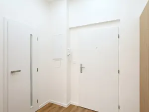 Pronájem bytu 2+kk, Praha - Žižkov, Zelenky-Hajského, 40 m2