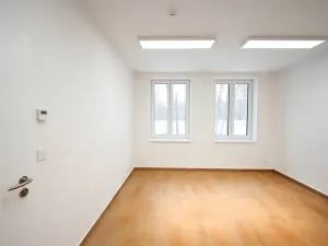 Pronájem kanceláře, Hořín, 420 m2