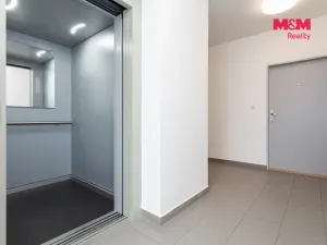 Pronájem bytu 1+kk, Plzeň - Litice, Vysoká, 38 m2