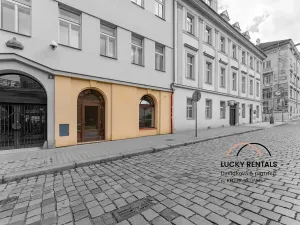 Pronájem obchodního prostoru, Praha - Karlín, Prvního pluku, 58 m2