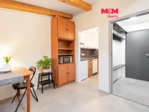 Pronájem bytu 1+kk, Janov nad Nisou, 25 m2