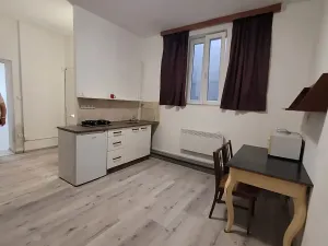 Pronájem bytu 1+1, Brno, Palackého třída, 43 m2
